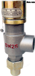 A21H-16C DN25A21H-16C 弹簧微启式螺纹安全阀
